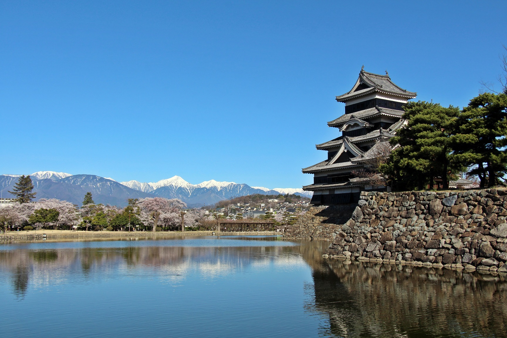 松本城冬囲い